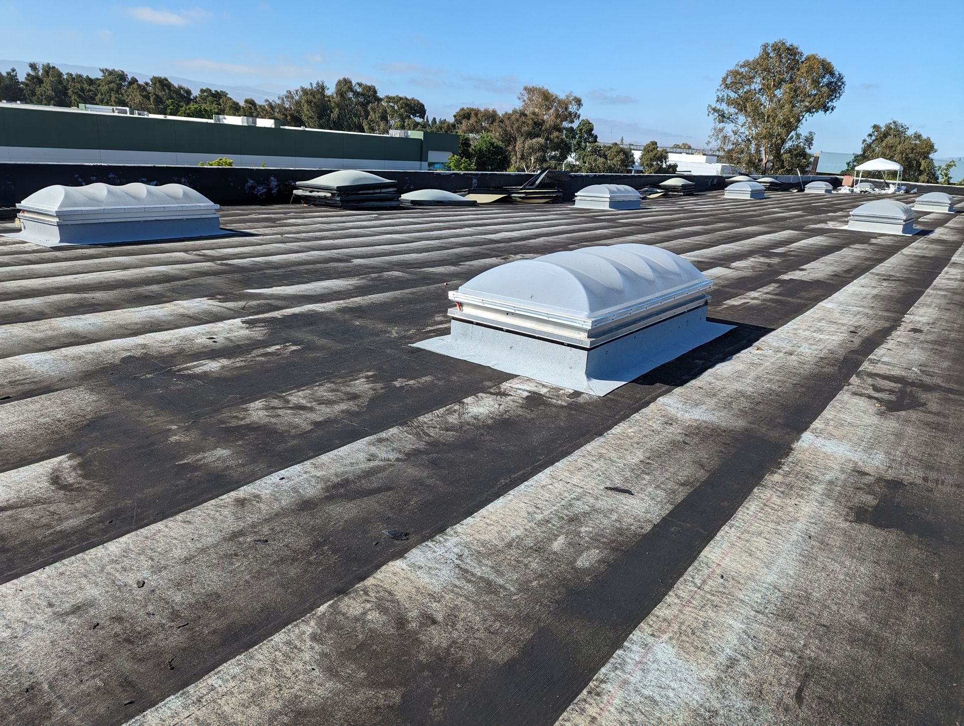 A roof with a lot of skylights on it
