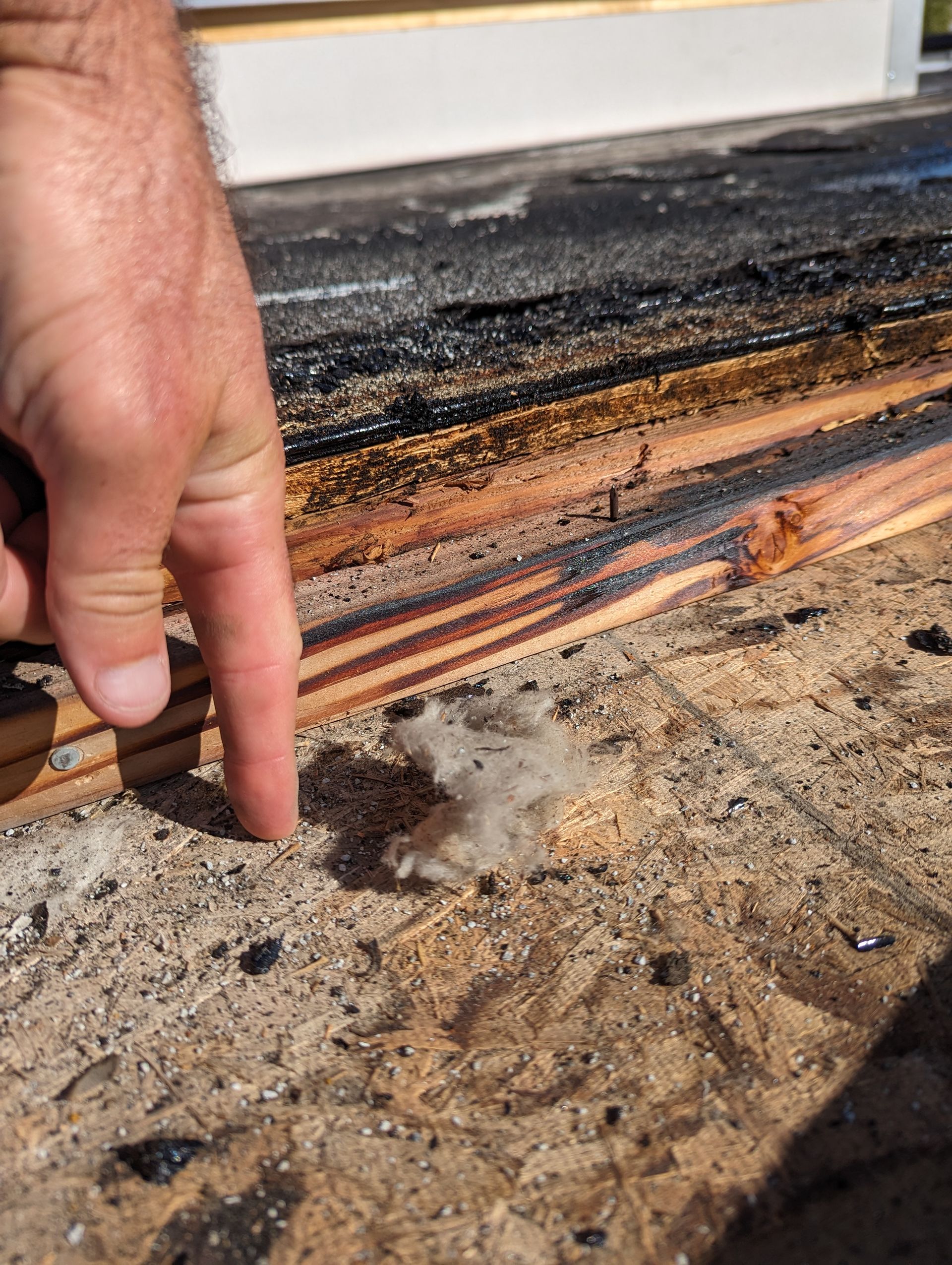 A person is pointing at a piece of wood.