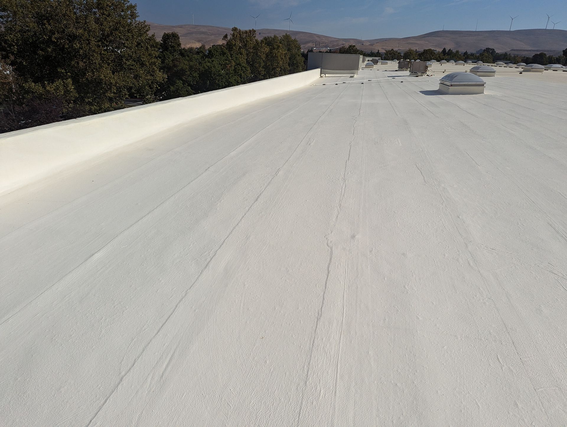 A white roof with a skylight and trees in the background.