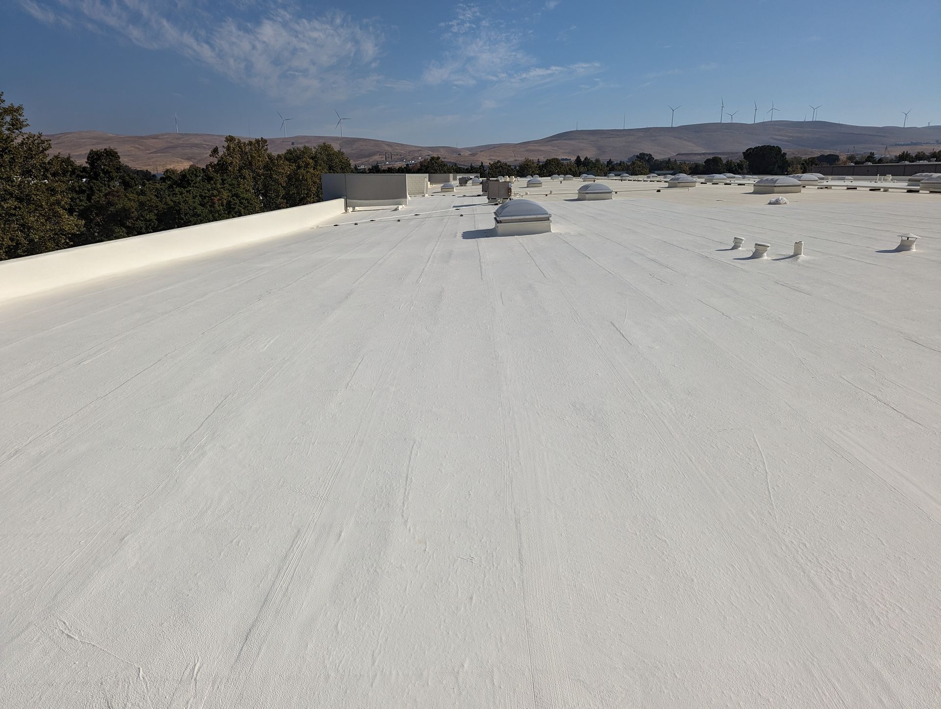 A large white roof with a blue sky in the background.