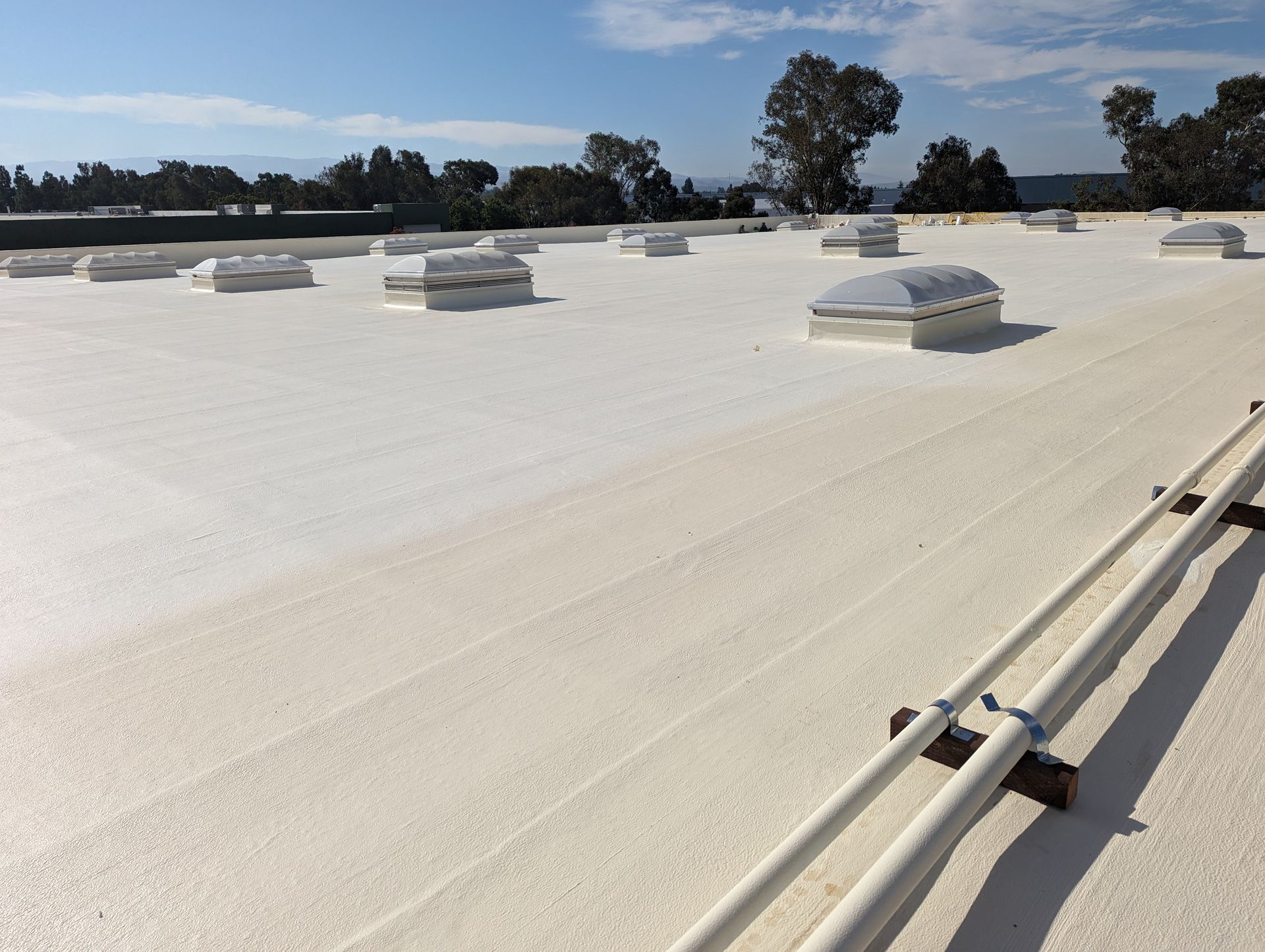 A white roof with a lot of skylights on it