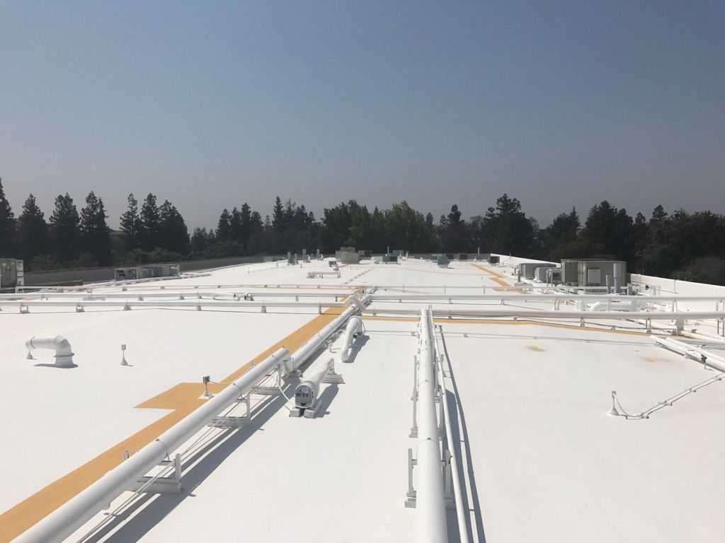 A large white roof with trees in the background