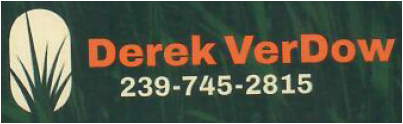 Logo for Derek VerDow with his name, phone number, and a plant-like design.