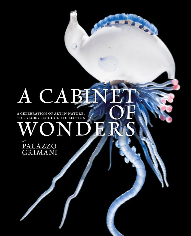 洋書 Cabinets of Wonder Cabinet of Wonders