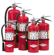 Fire Safety Consultant — Man Holding a Fire Extinguisher in Toledo, OH