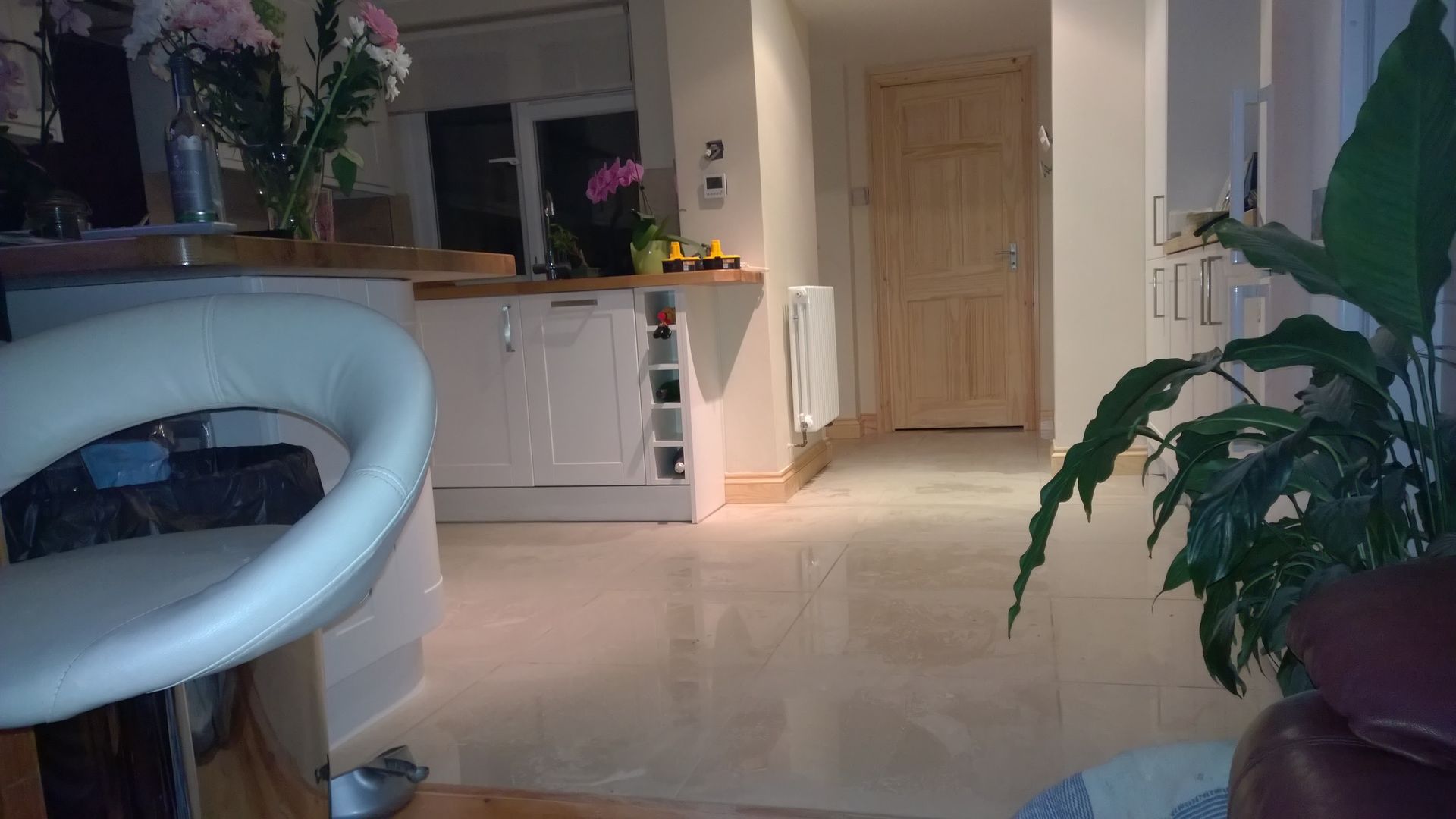 A kitchen with a plant in the foreground and a chair in the background.