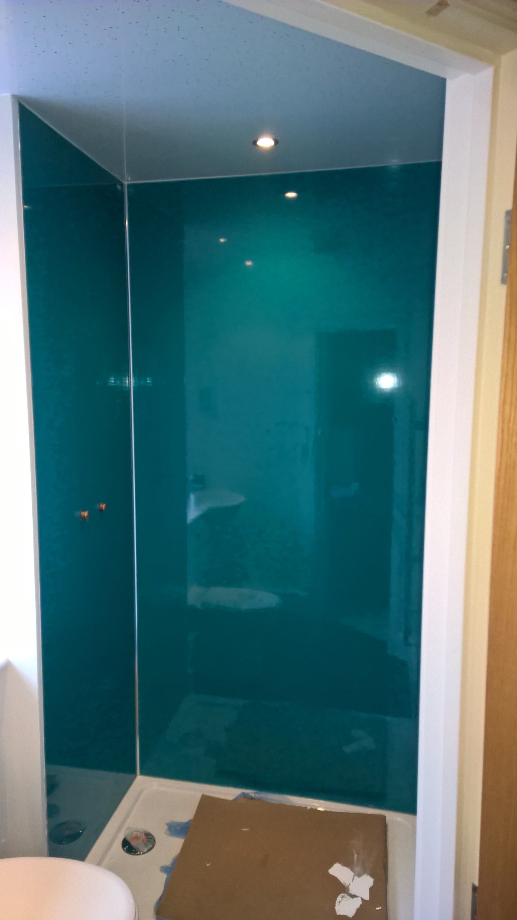 A bathroom with a toilet and a shower with a turquoise wall.