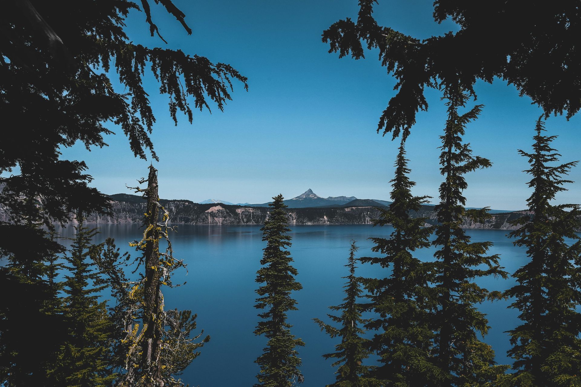 A lake with trees in the foreground and mountains in the background