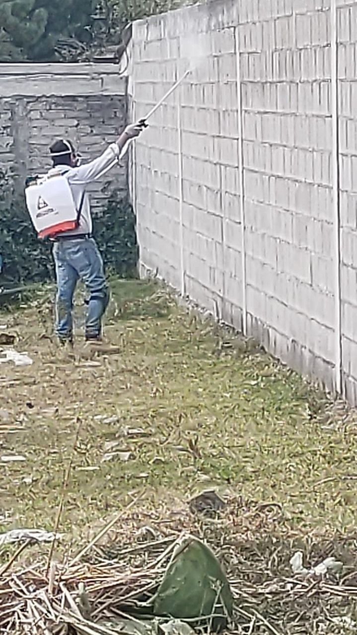 SID FUMIGACIONES: CONTROL Y PREVENCIÓN DE PLAGAS