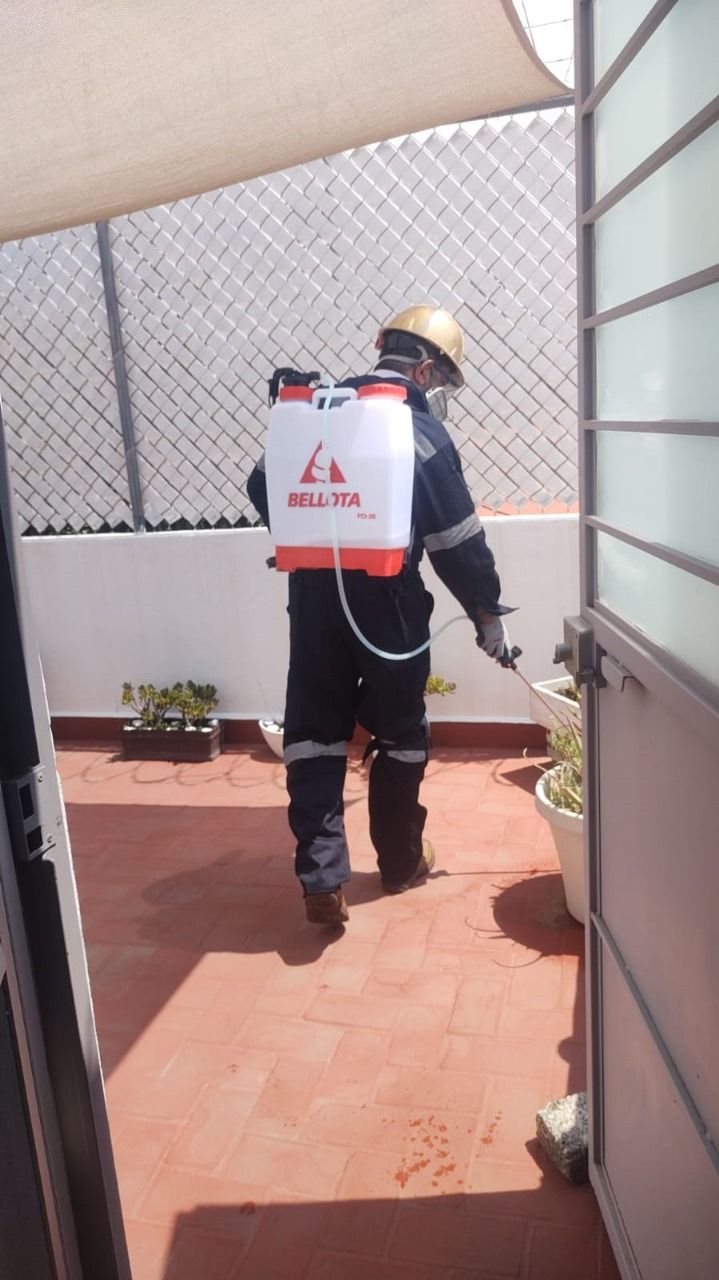 SID FUMIGACIONES: CONTROL Y PREVENCIÓN DE PLAGAS