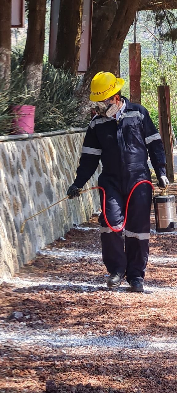 SID FUMIGACIONES: CONTROL Y PREVENCIÓN DE PLAGAS