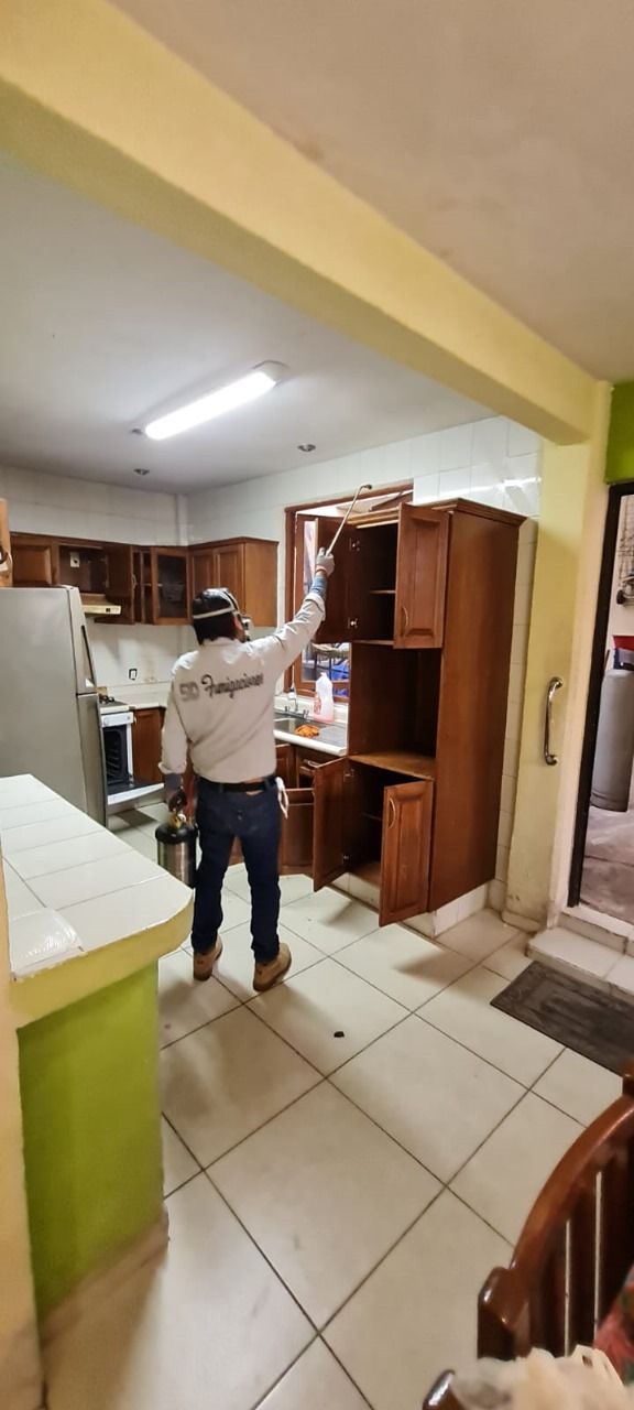 SID FUMIGACIONES: CONTROL Y PREVENCIÓN DE PLAGAS