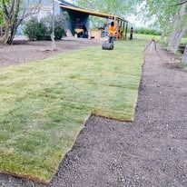 A person in an orange shirt rolls out fresh sod on bare dirt, with a shed and trees in the background.