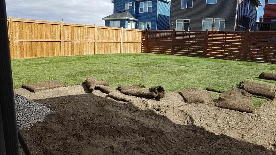 A partially landscaped backyard featuring a new lawn, piles of topsoil, and rolls of unlaid sod against a wooden fence.