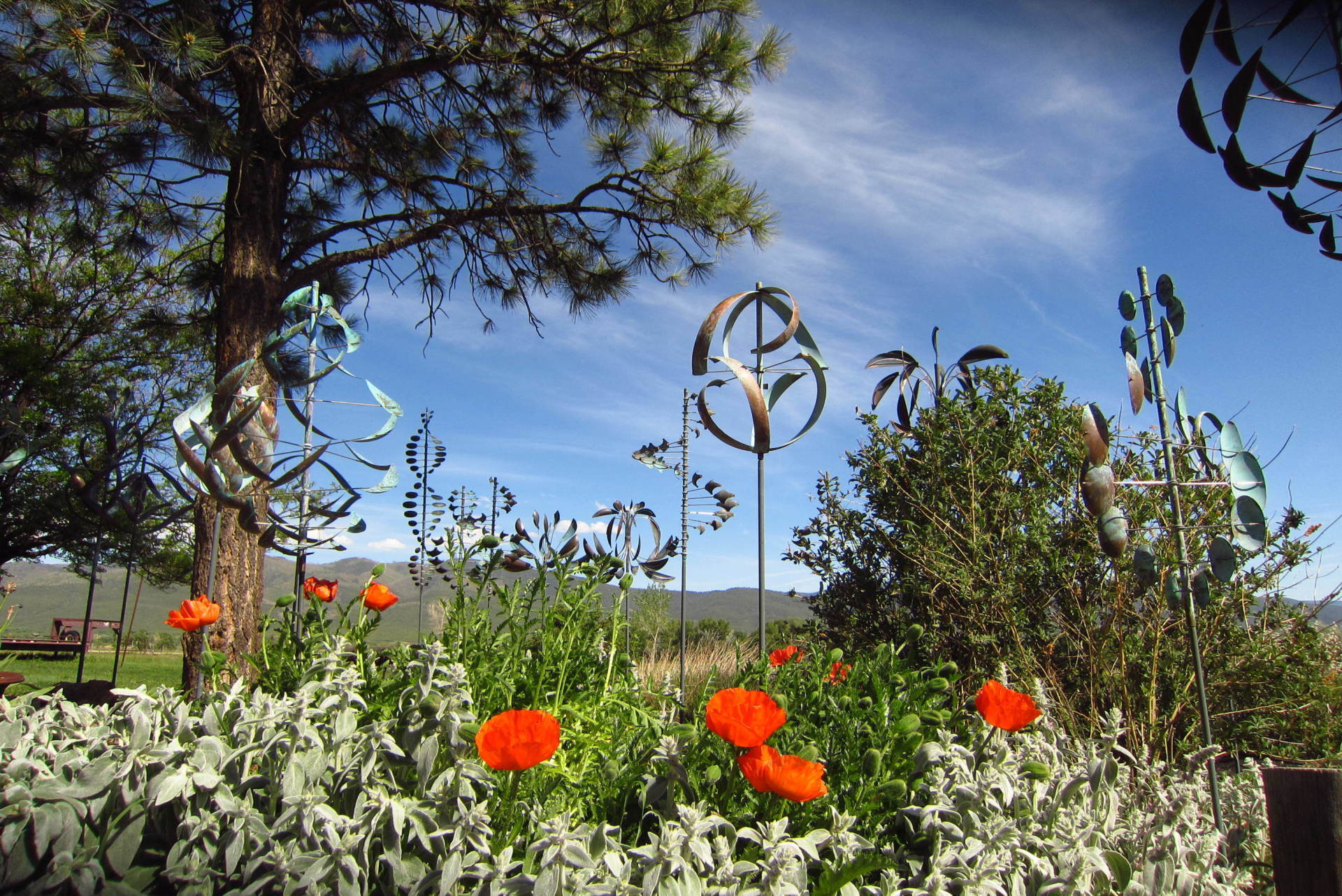 large group of wind sculptures outside at Envision Gallery