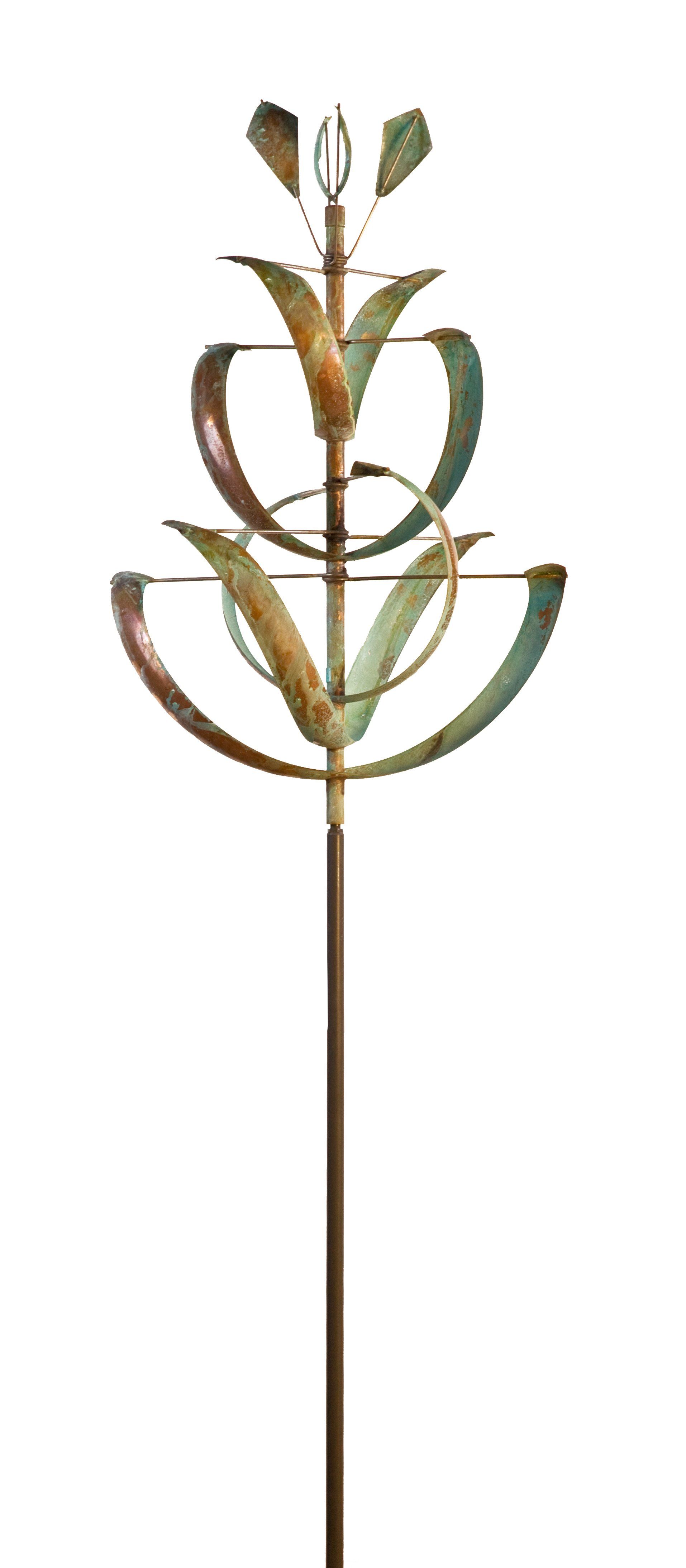 desert lily wind art by lyman whitaker