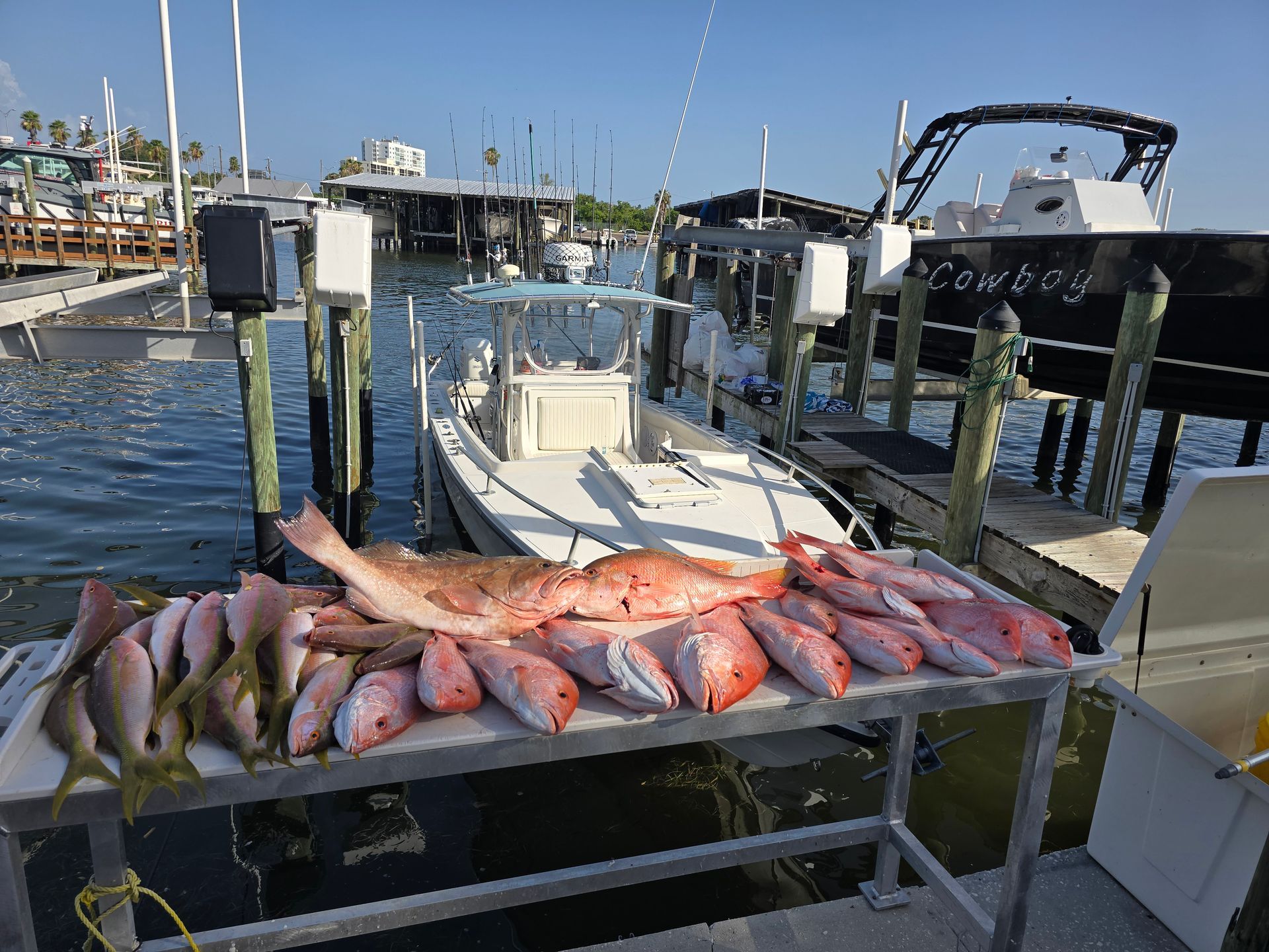 Freshly caught fish laid out on a table at a marina, boats and water in the background.