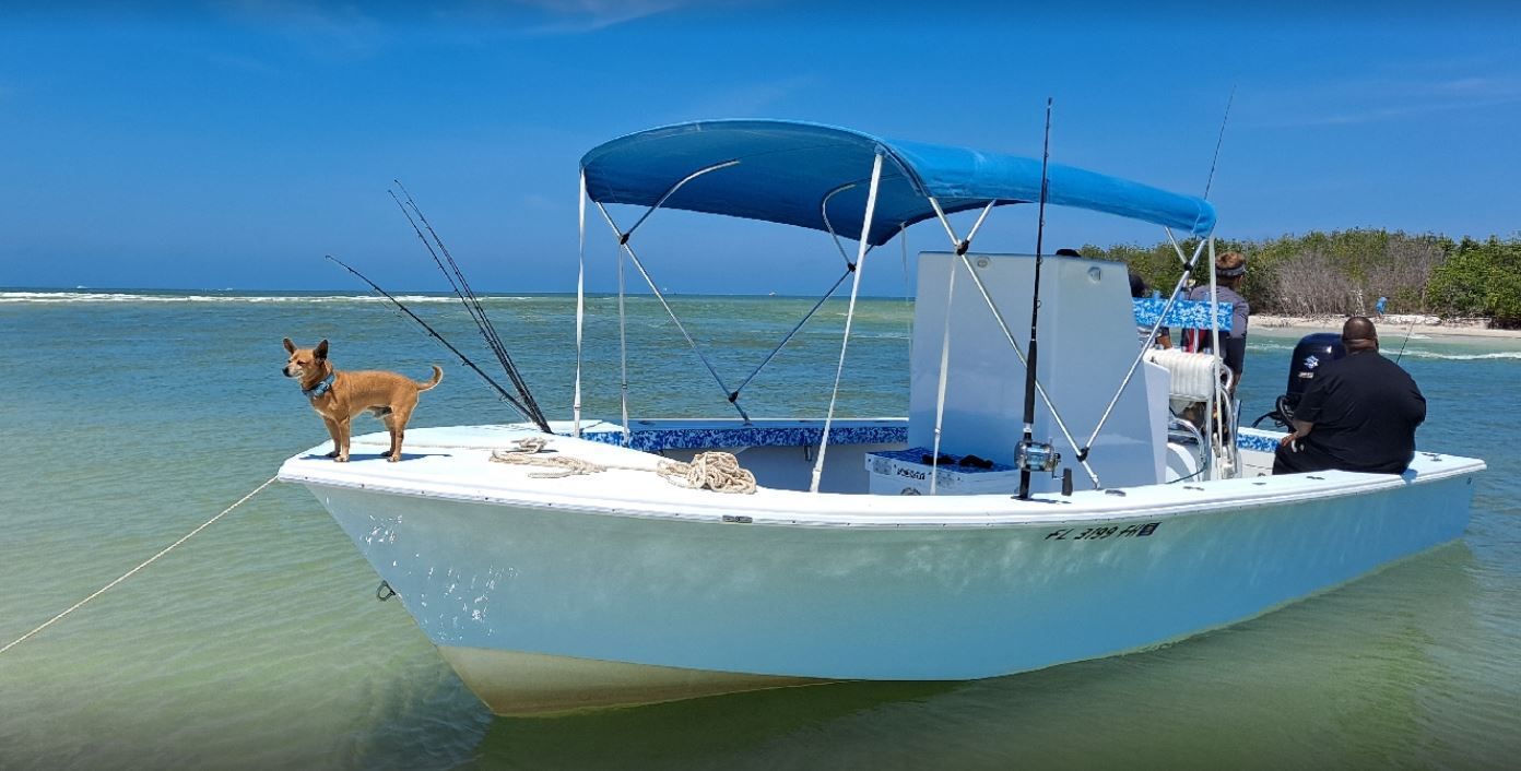 Small white boat with a blue canopy, a dog, and a person fishing in clear water near a beach.