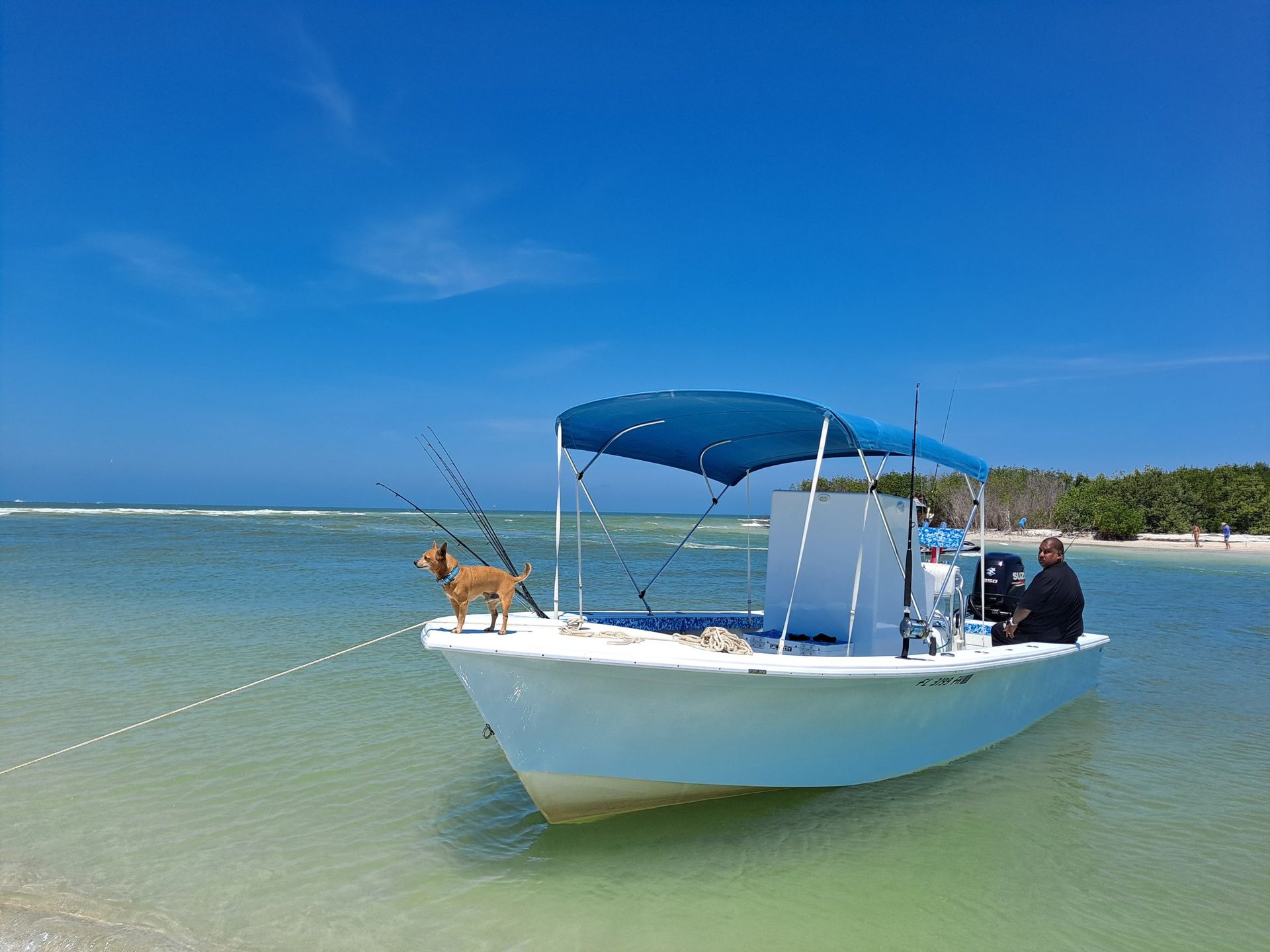 A small white boat with a brown dog and a person under a blue canopy in clear, turquoise water.