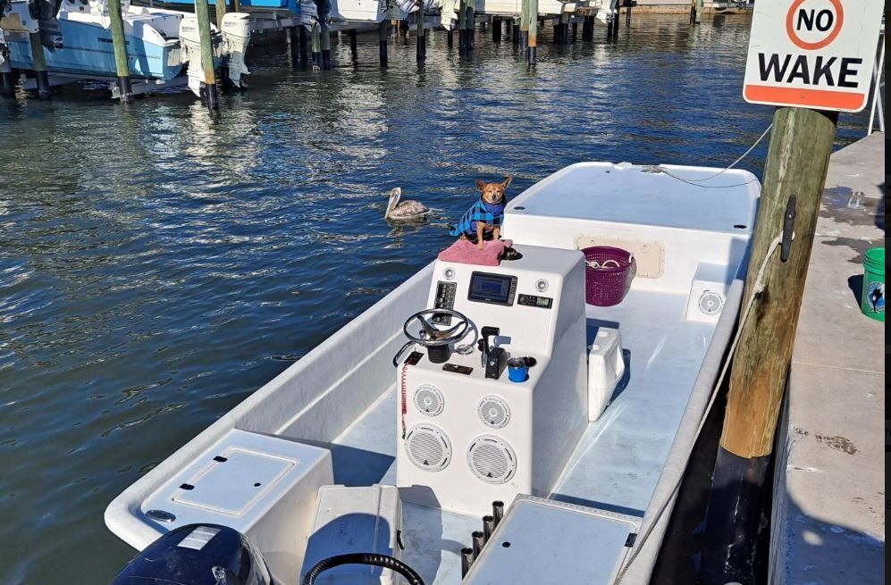 A white boat docked at a pier, a child on board, a pelican swims nearby. 