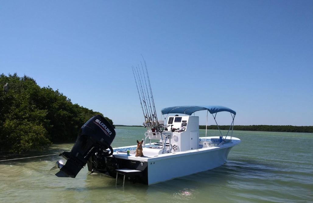 Boat in shallow, clear water near mangroves, blue sky, fishing rods on the side.