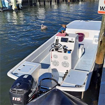 Dog in blue shirt on white boat at dock, water, pelican in background.