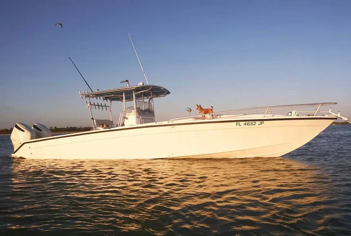 White fishing boat on the water with a dog on the deck under a blue sky.