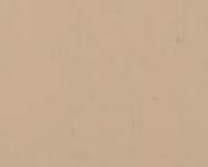 A close-up of a light tan wall, slightly textured with subtle variations in color.