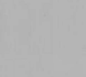 Solid gray background.