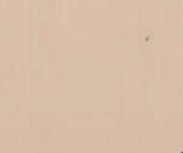 Pale beige background with a small dark speck.