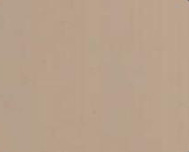 Solid beige background.