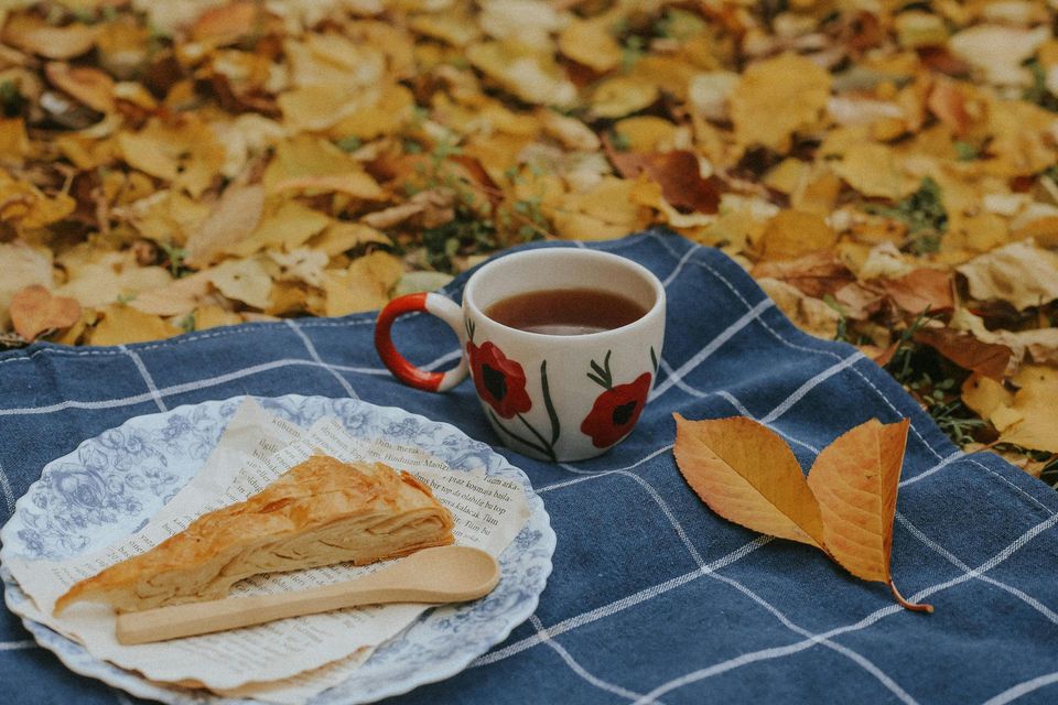 A cup of tea and a piece of apple pie on a plaid blanket.