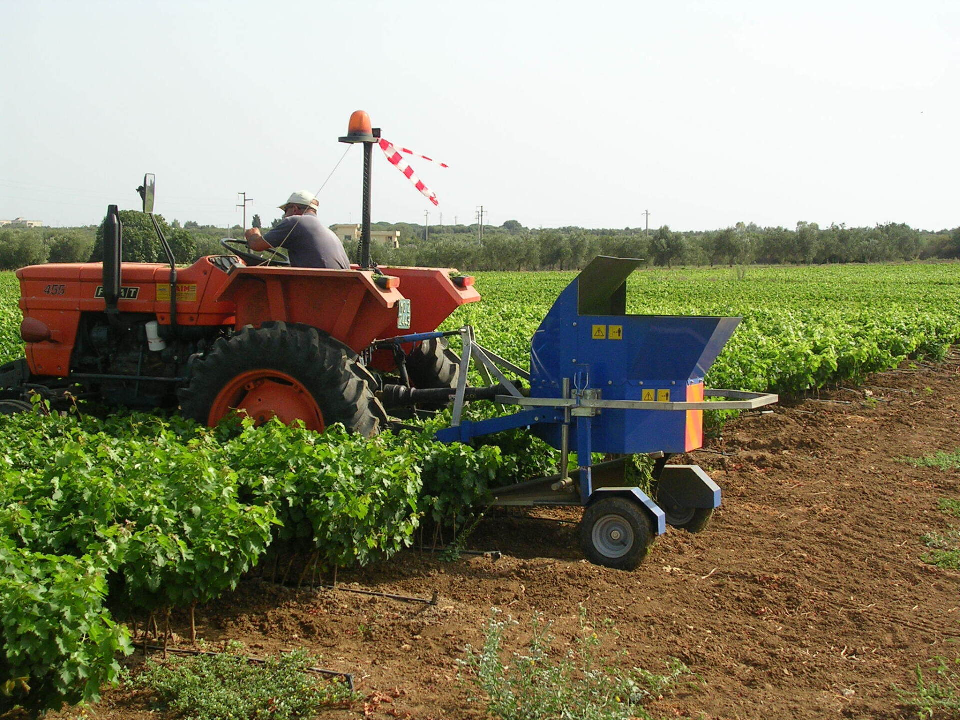 Coltivazioni biologiche Otranto (LE)