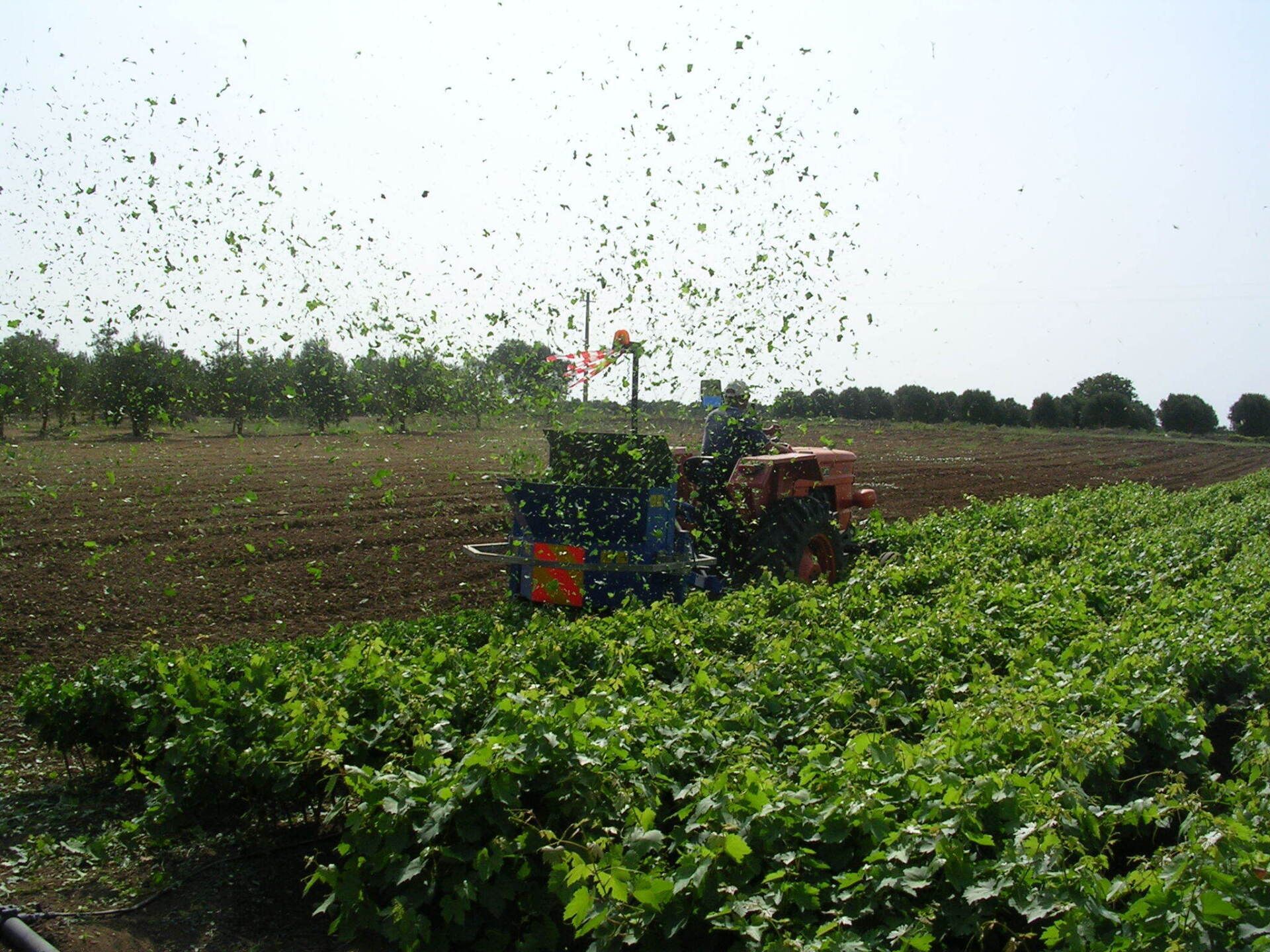 Agricola Terra Rossa Otranto (LE)