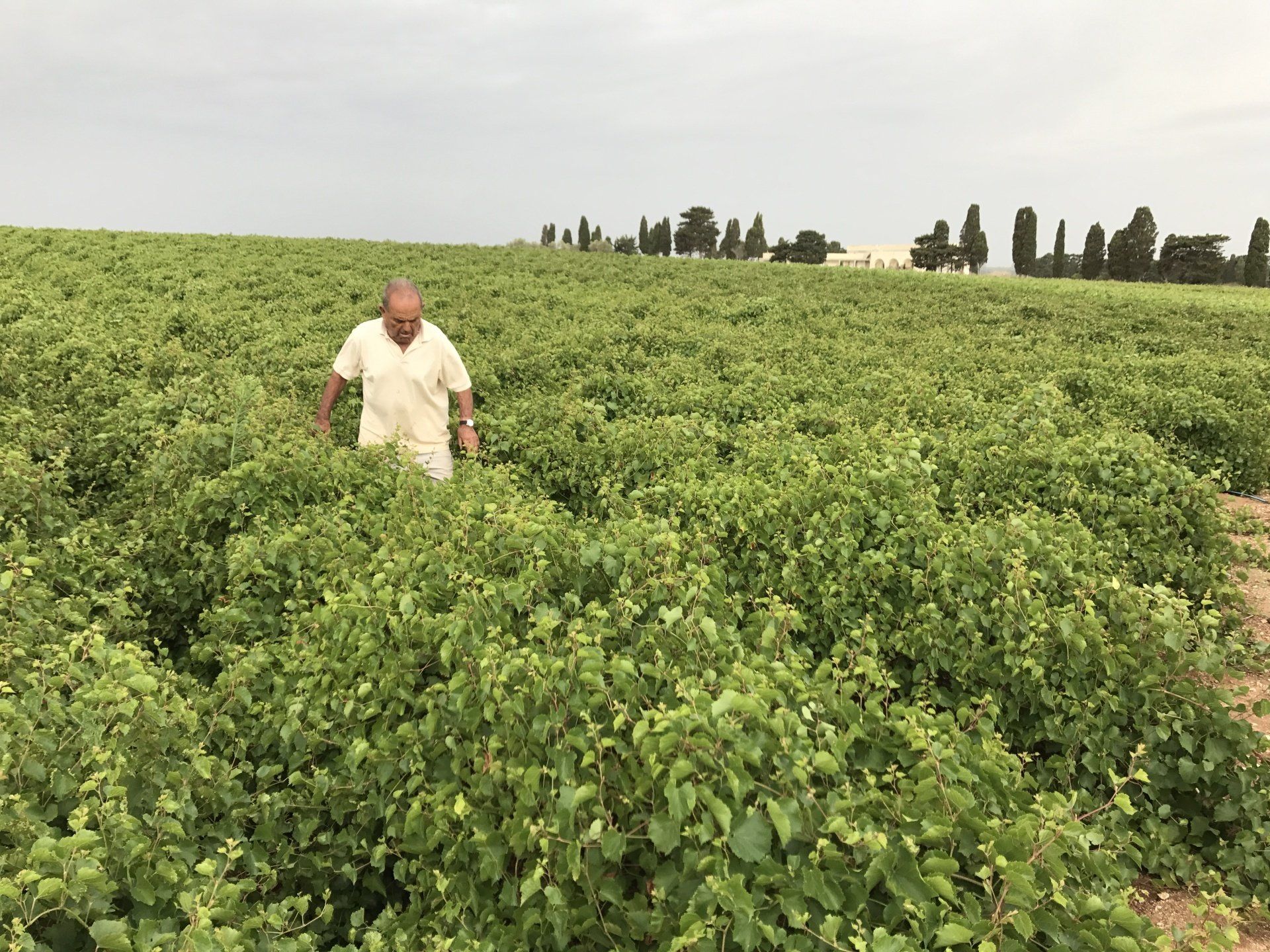 Agricoltura Biologica Otranto