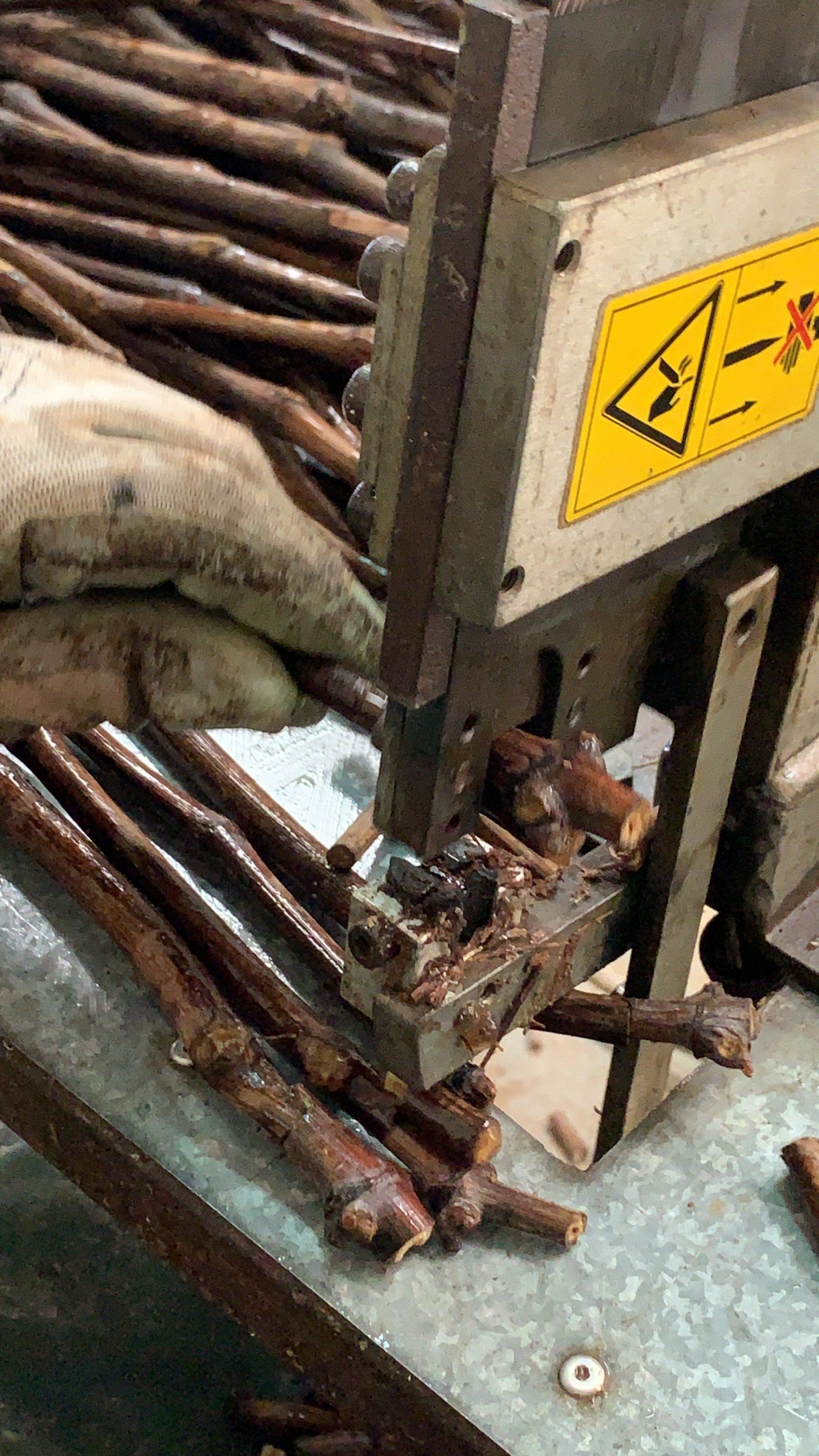 Controlli di qualità sui prodotti agricoli Otranto