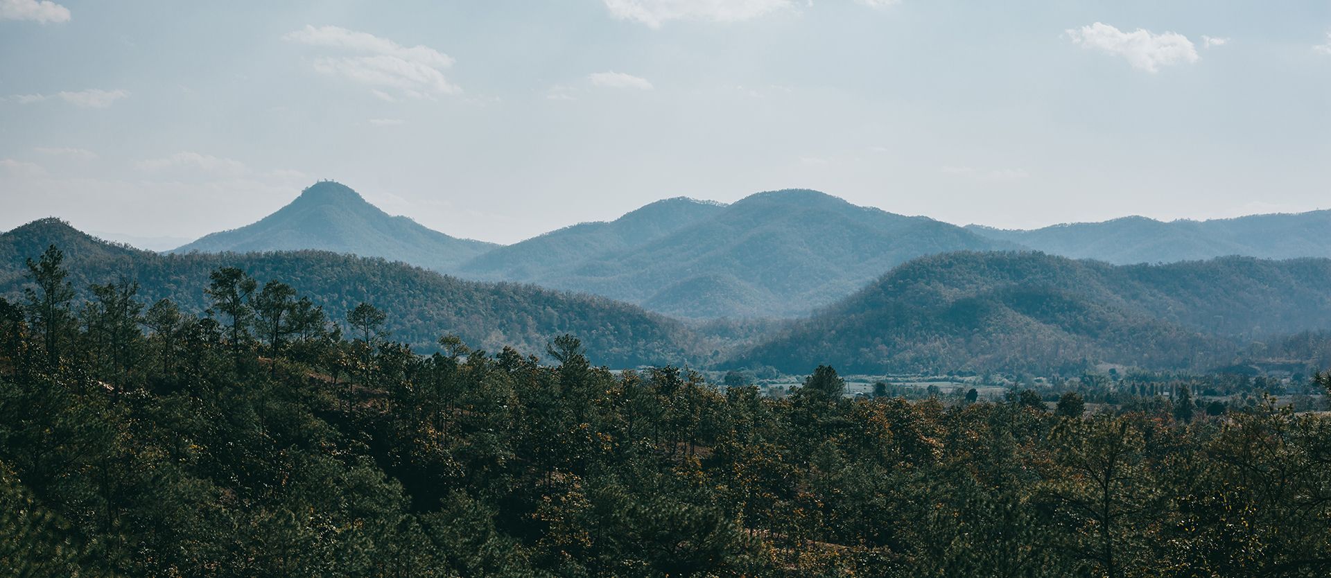 Imagens e dados são processados pela IA para confirmação do risco.
