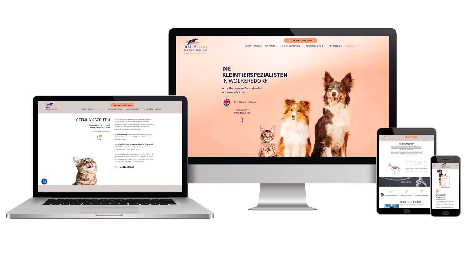 Tierarzt Webseite Homepage