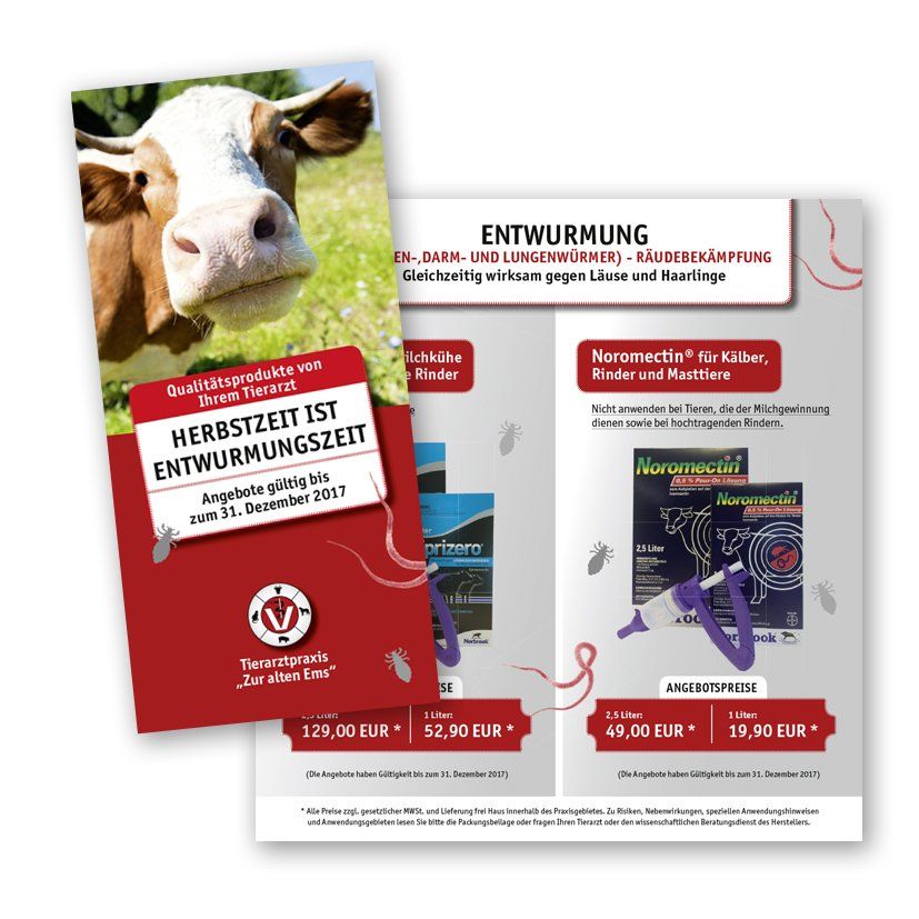 Tierarzt Flyer