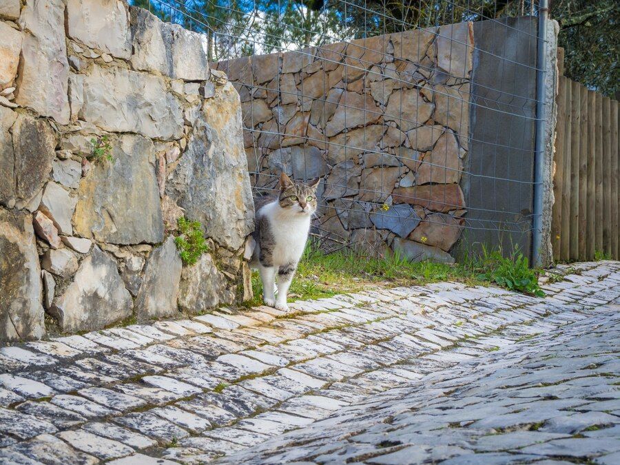 Retaining Wall