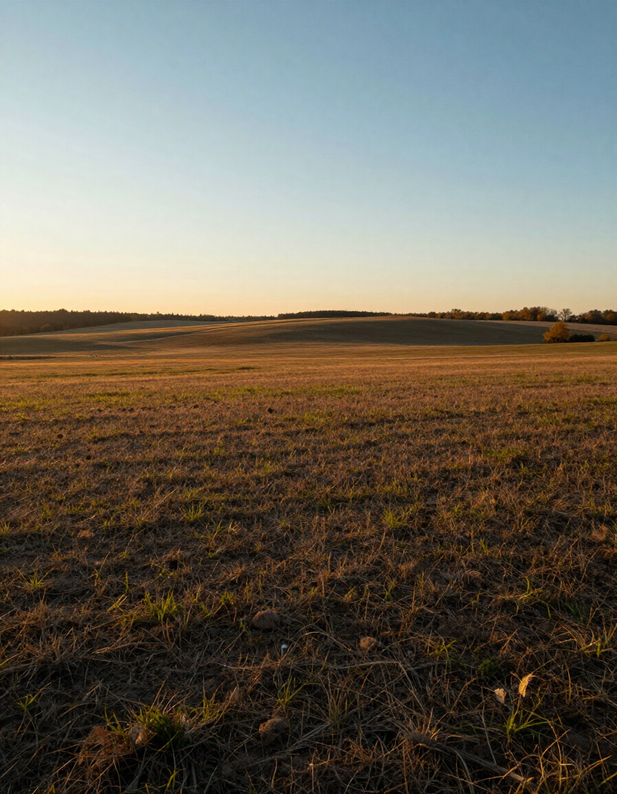 Wide open vacant land parcel under golden sky
