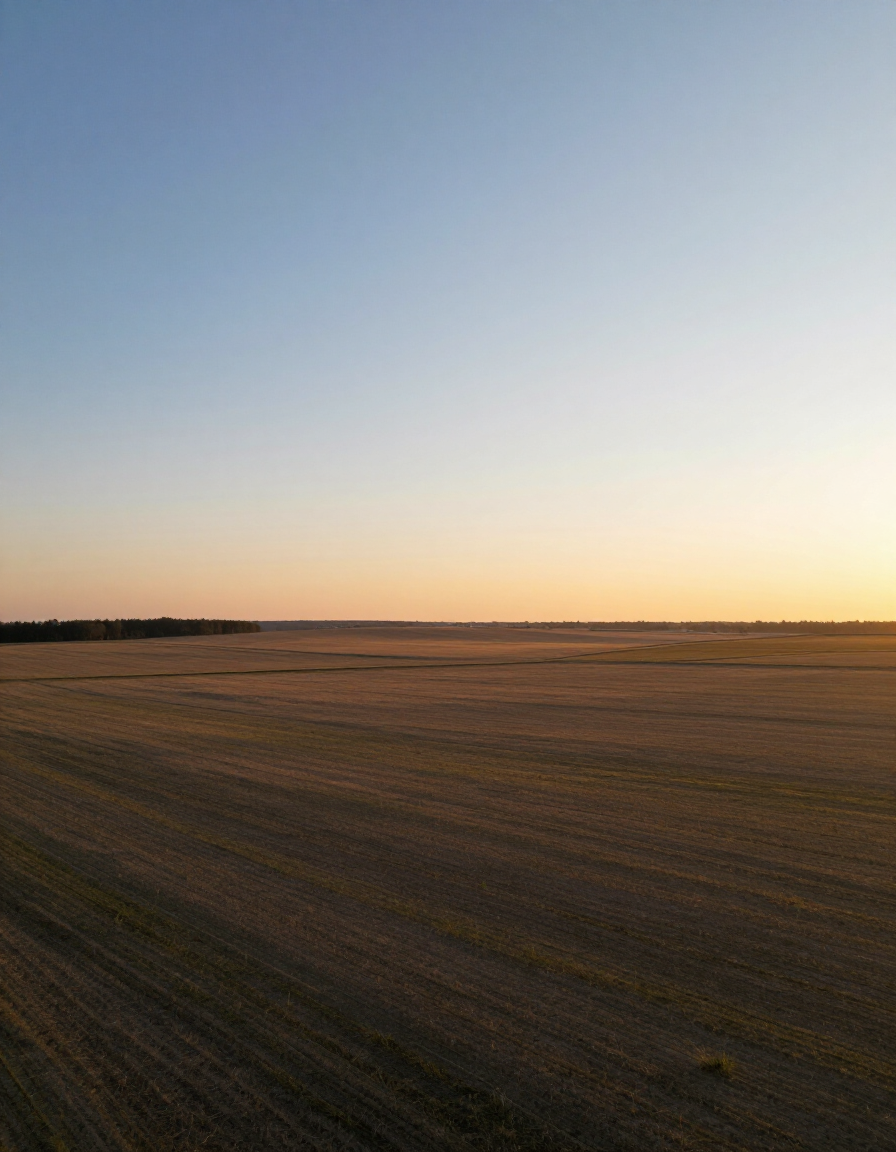 Aerial view of vacant land parcel