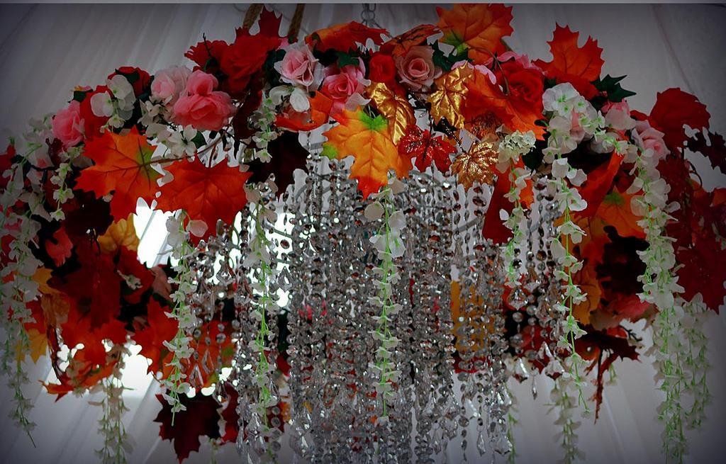 Reunions, Groups, & Proms