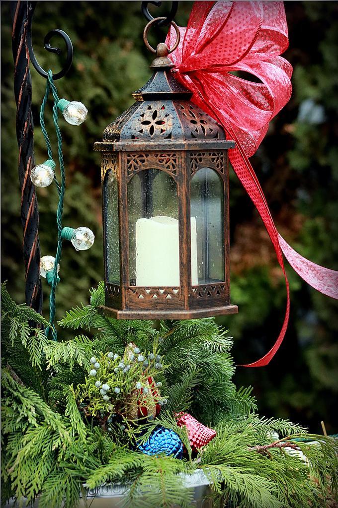 Reunions, Groups, & Proms