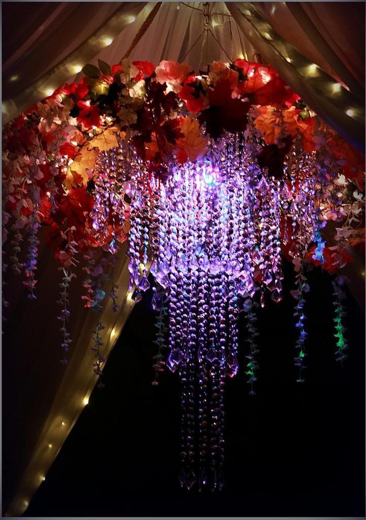 Reunions, Groups, & Proms