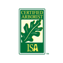 A certified arborist isa logo with an oak leaf