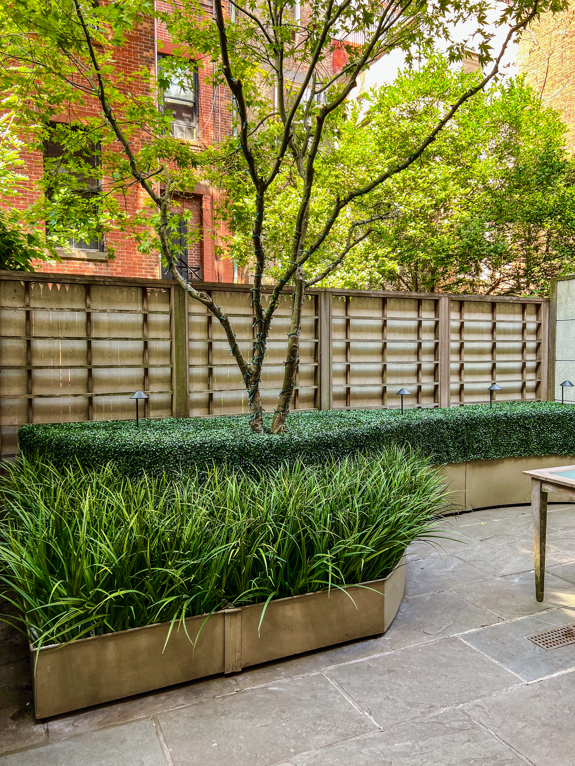A small tree grows out of a tan planter filled with lush greenery in front of a wooden fence on a stone patio.