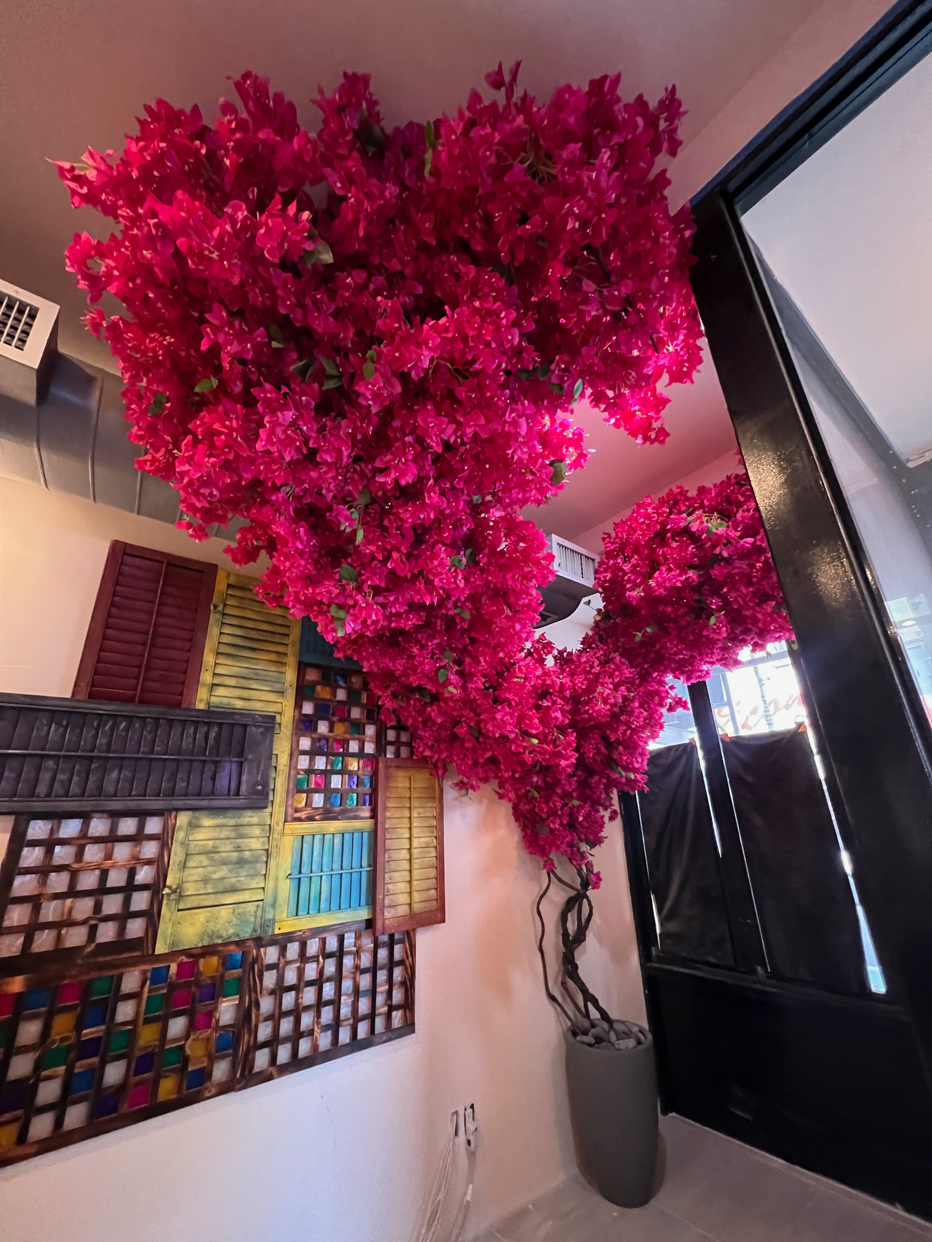 A tall, potted bougainvillea tree with vibrant pink flowers stands next to a wall decorated with colorful framed art.