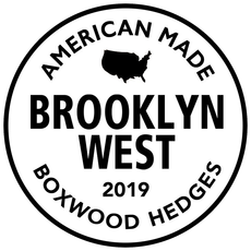 Brooklyn West - Custom Artificial Hedges & More 