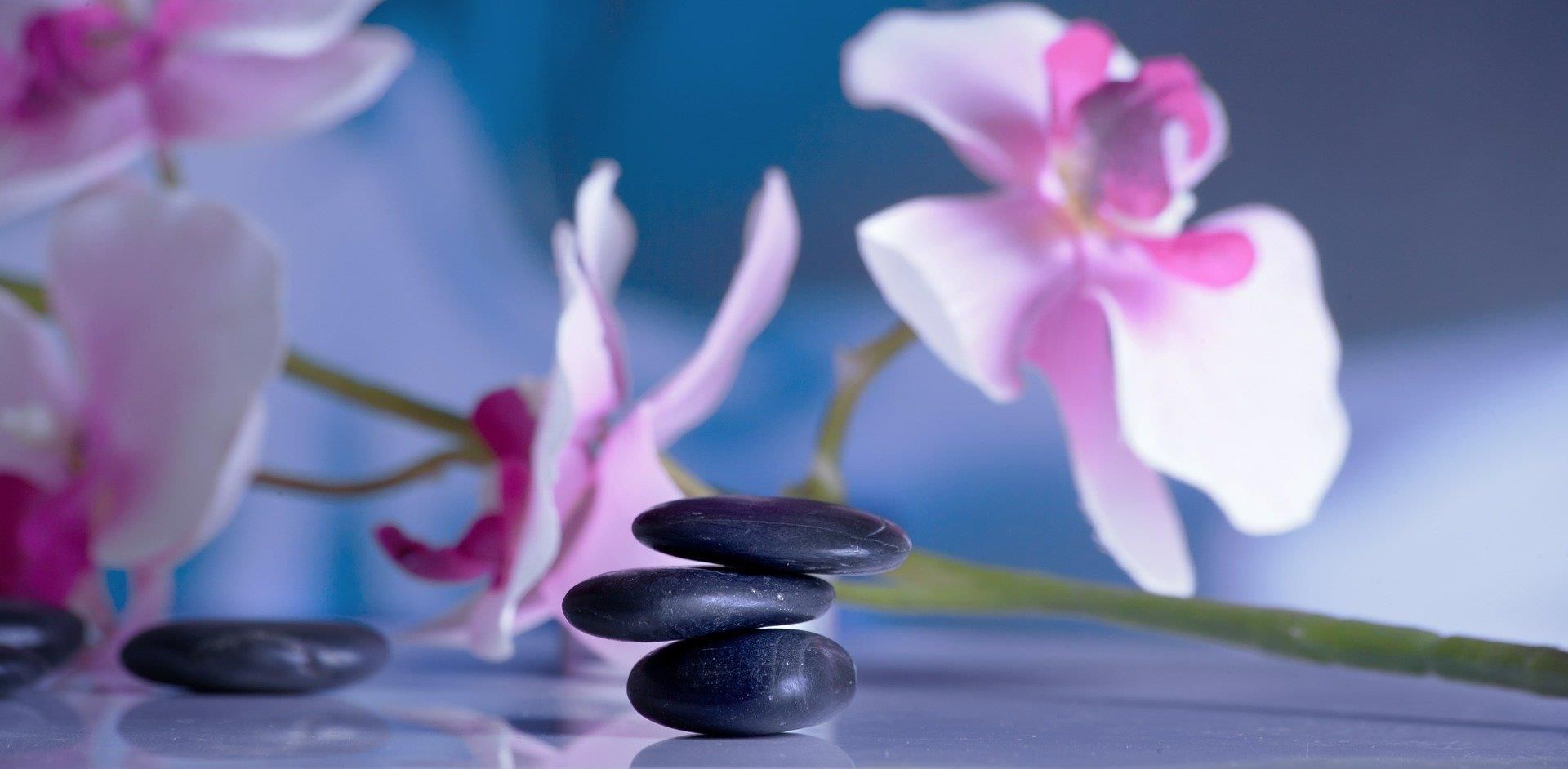 A pink flower is surrounded by black rocks on a table.